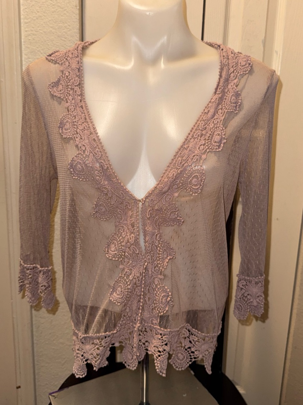 ISSI Lace-Trim Sheer Top in Mauve